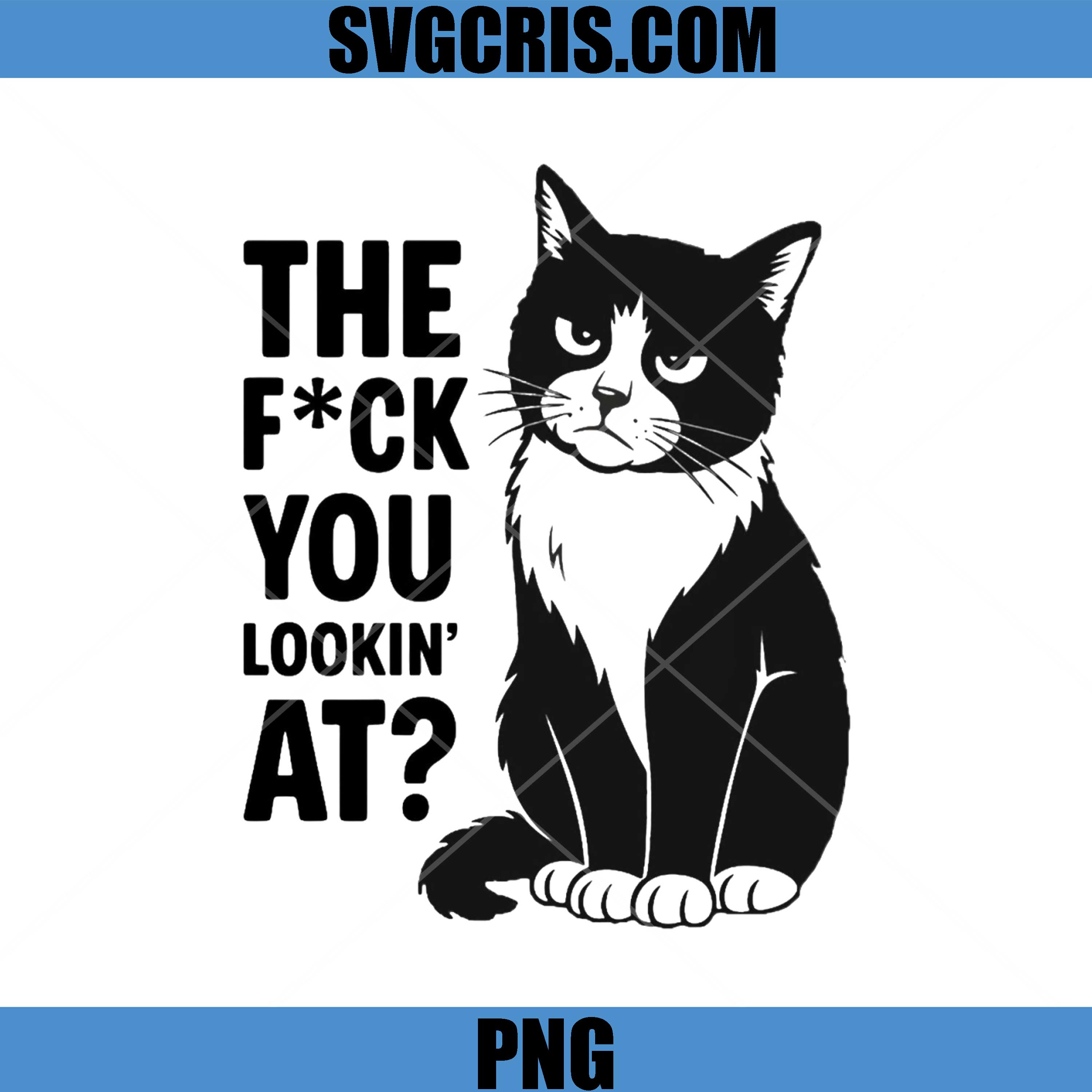 Grumpy Black And White Cat Attitude PNG, The Fuck You Lookin At PNG