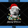 Pit Bull Santa PNG, Christmas Tree Lights PNG, Xmas Merry Pitmas PNG