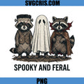 Spooky And Feral Trio PNG, Raccoon Ghost Dracula Art PNG