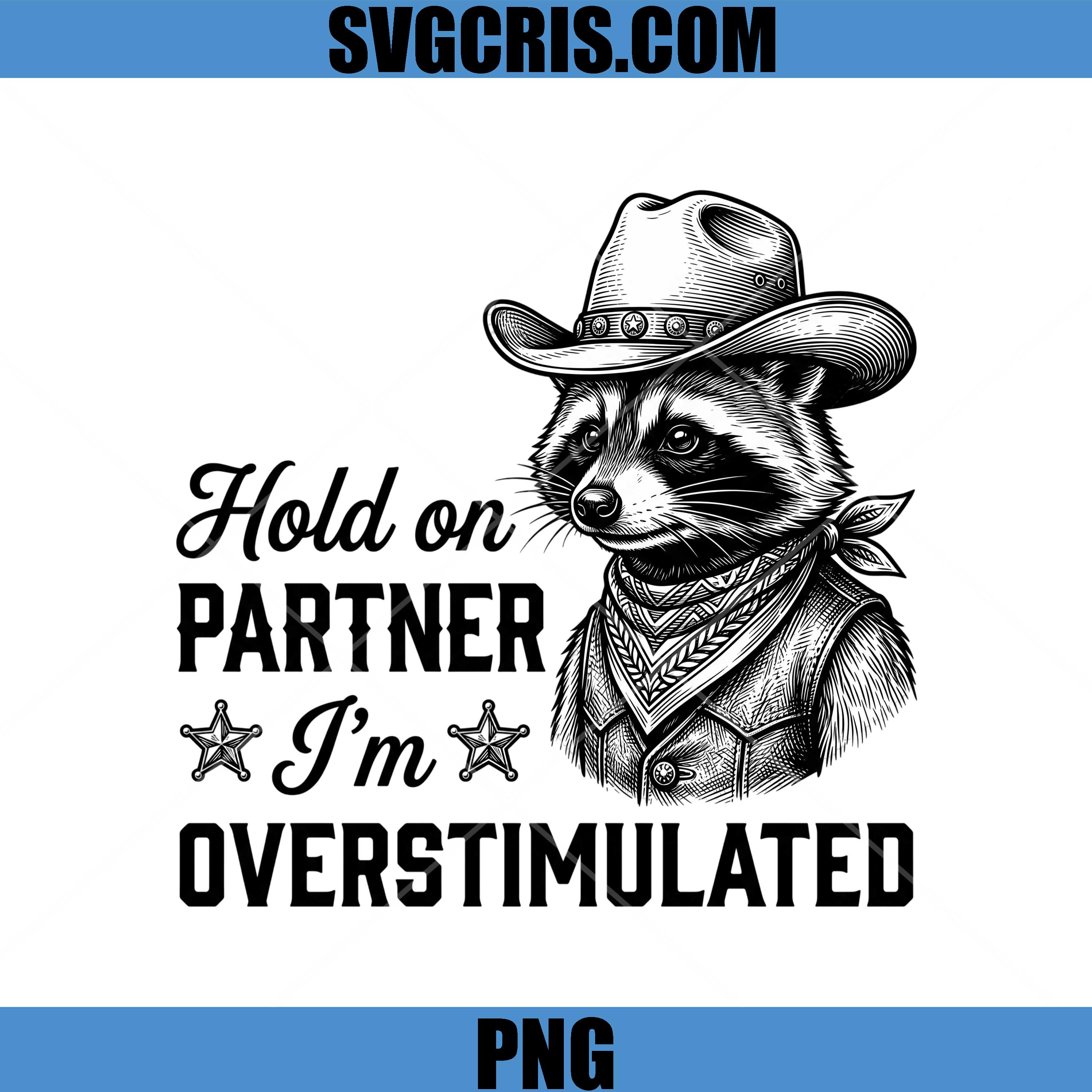 Hold On Partner Meme PNG, Cute Western Raccoon PNG