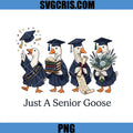 Just A Senior Goose PNG, Class Of 2026 Graduation PNG