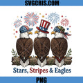 Stars Stripes And Eagles PNG, Patriotic Eagle Trio PNG