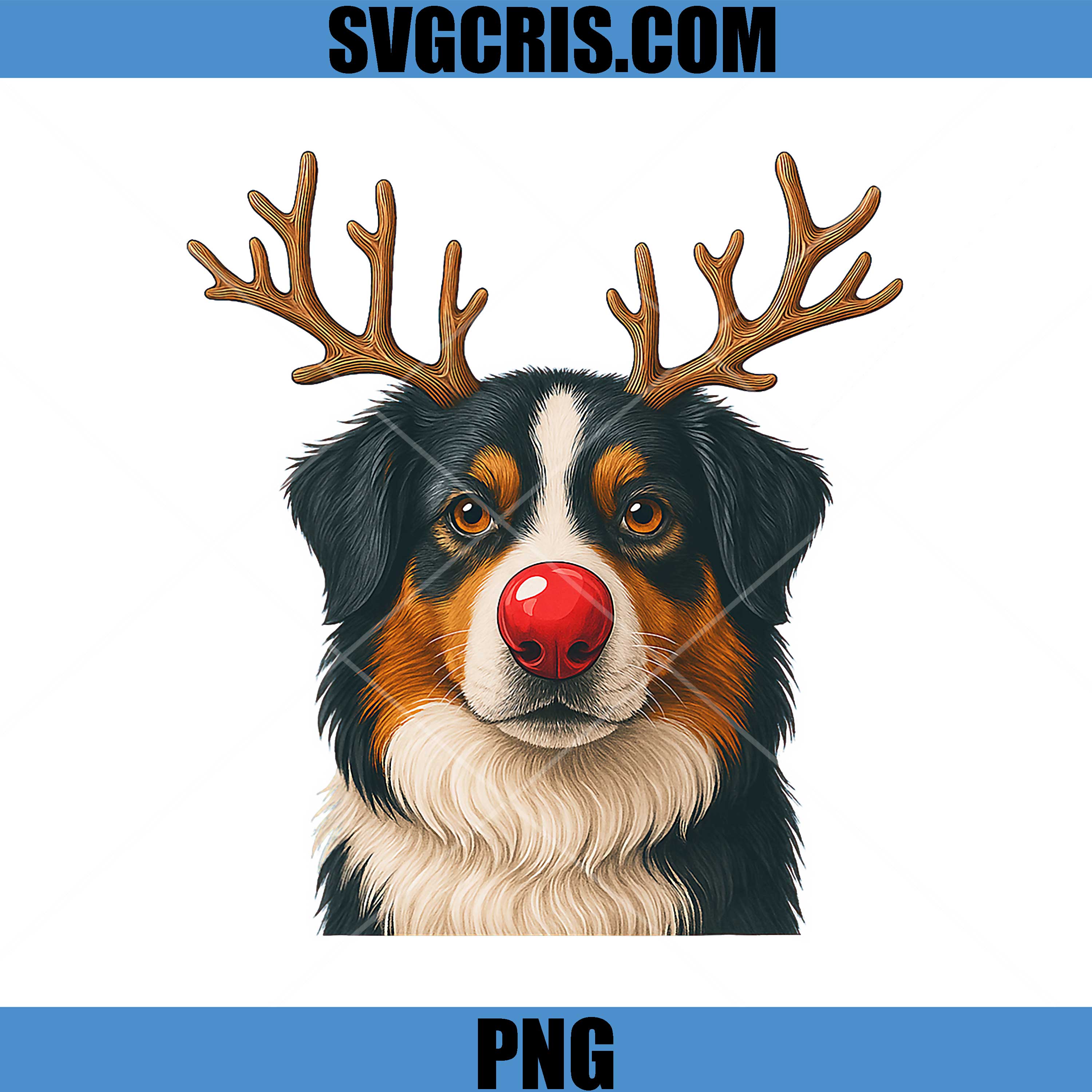 Reindeer Australian PNG, Shepherd Christmas Aussie PNG