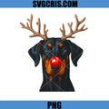 Reindeer Doberman PNG, Pinscher Christmas Doberman PNG, Pinscher Dog PNG