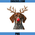 Reindeer German PNG, Shorthaired Pointer Christmas GSP PNG