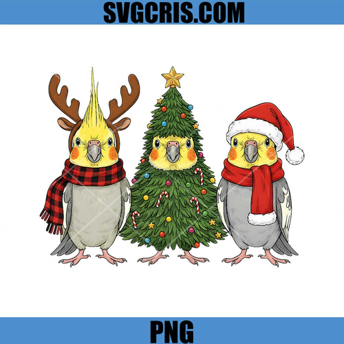 Christmas Cockatiel Parrot PNG, Santa Reindeer PNG