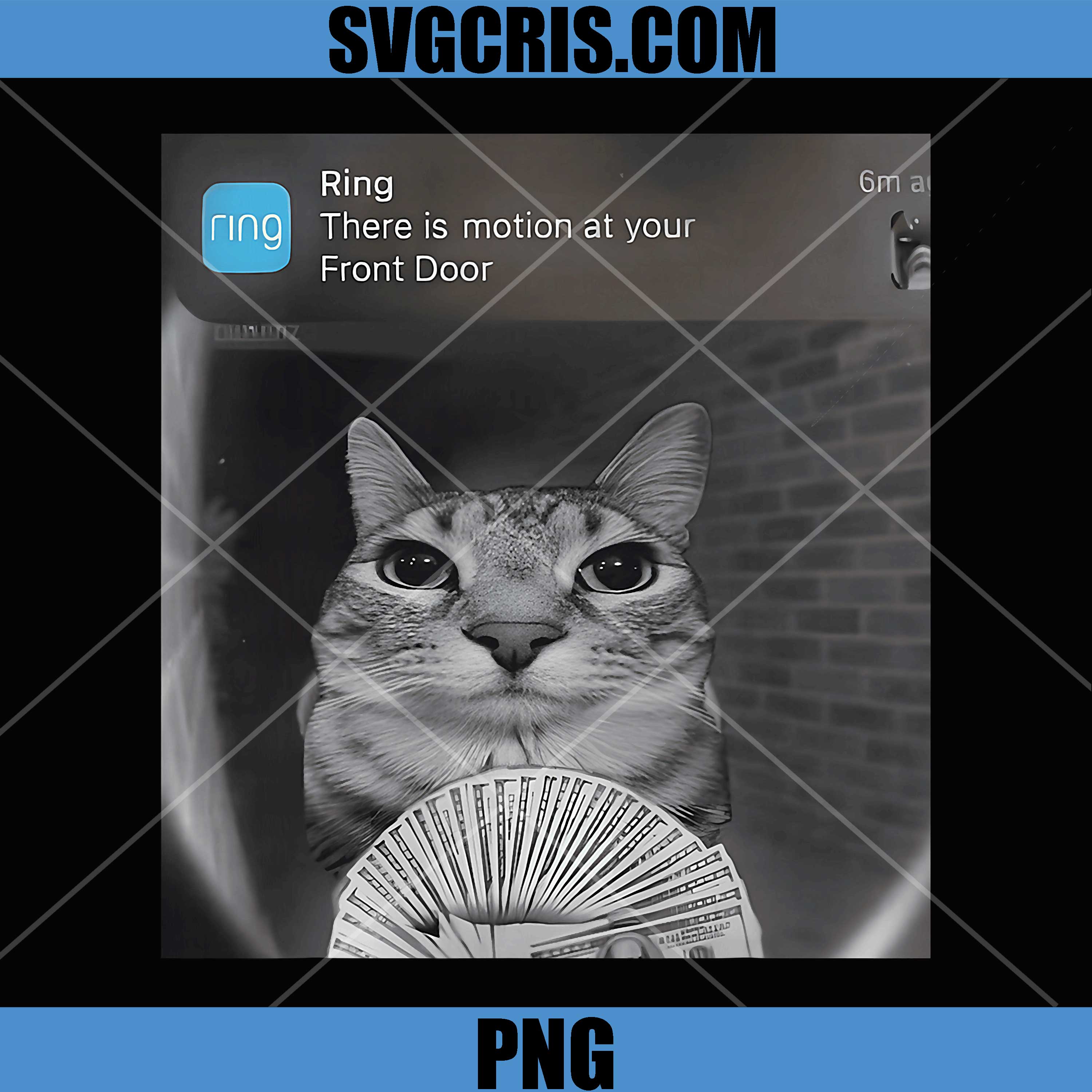 Ring Cat with Motion Funny PNG, Parody Cat Meme Silly Stupid Meme PNG