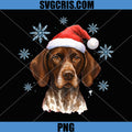 Santa German Shorthaired PNG, Pointer Christmas Winter GSP Dog PNG