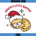 Santa’s Little Napper PNG, Cute Christmas Funny Cat PNG