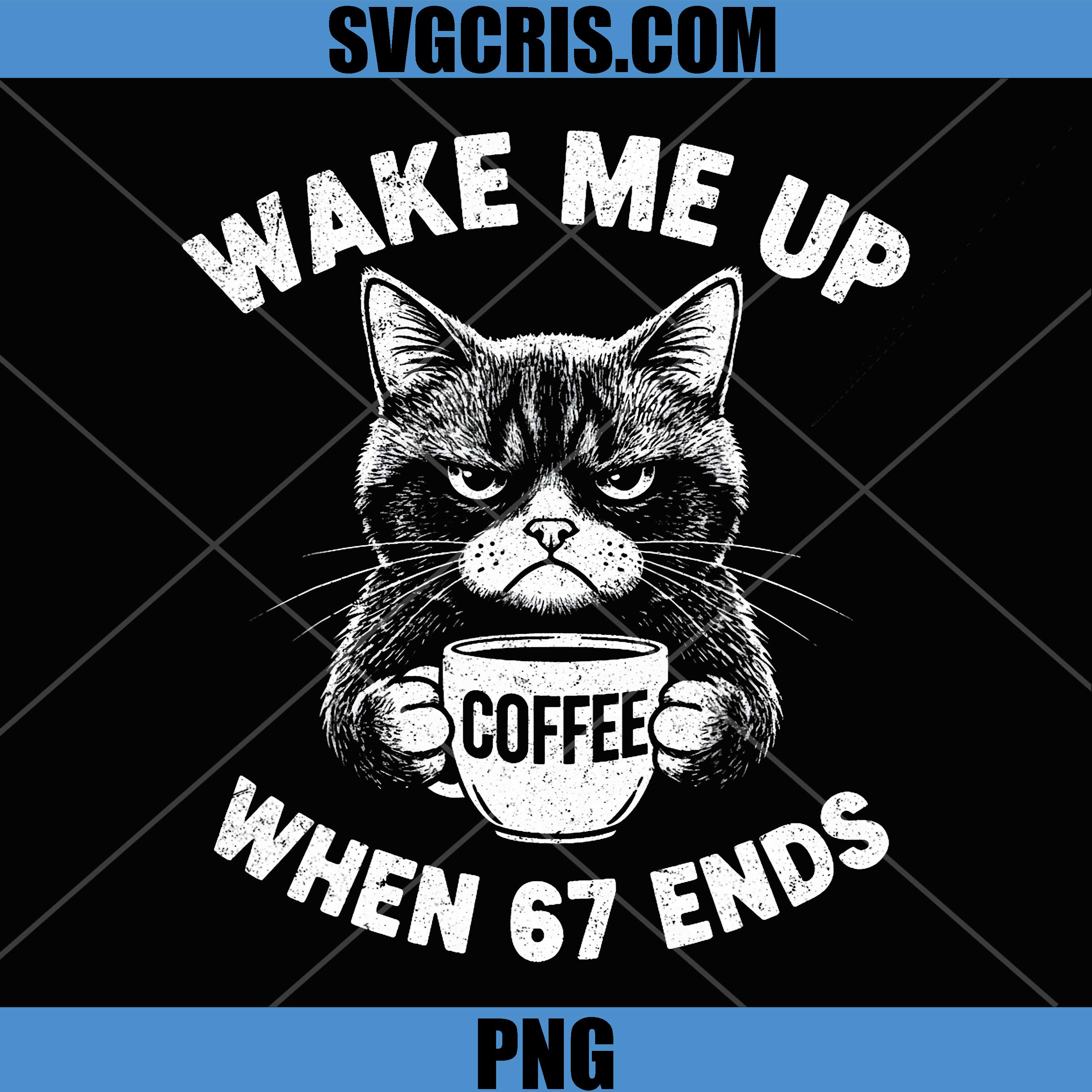 Wake Me Up When 67 Ends PNG, Anti Six Seven Cat Brainrot Teacher PNG
