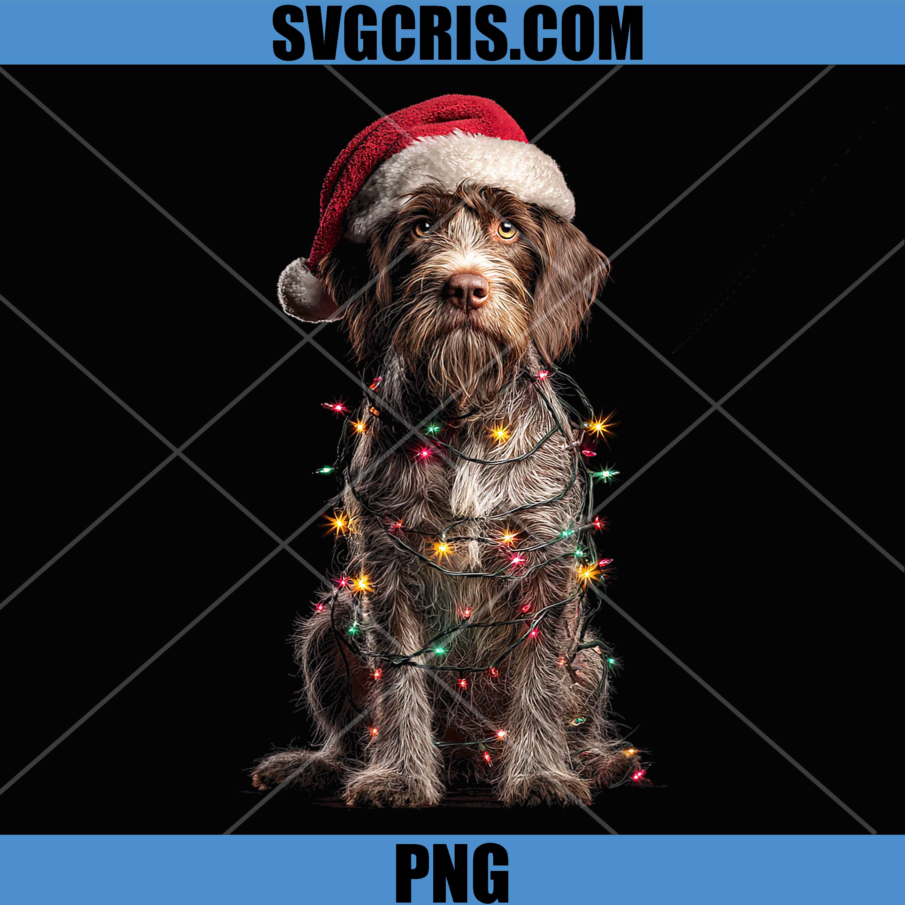 Wirehaired Pointing Griffon PNG, Christmas Graphics Dog Lights PNG