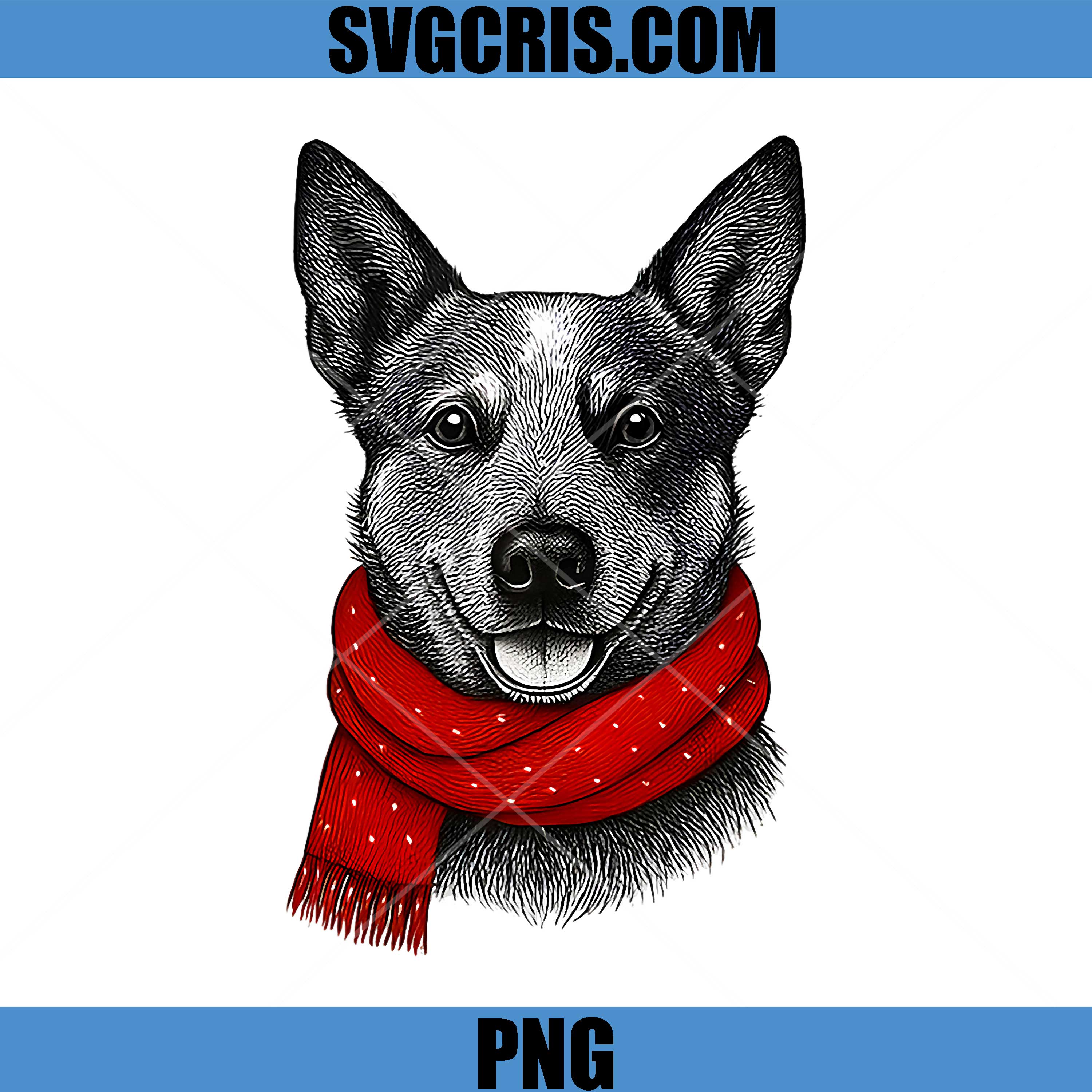 Australian Cattle Dog Christmas PNG, Red Scarf Heeler Illustration PNG