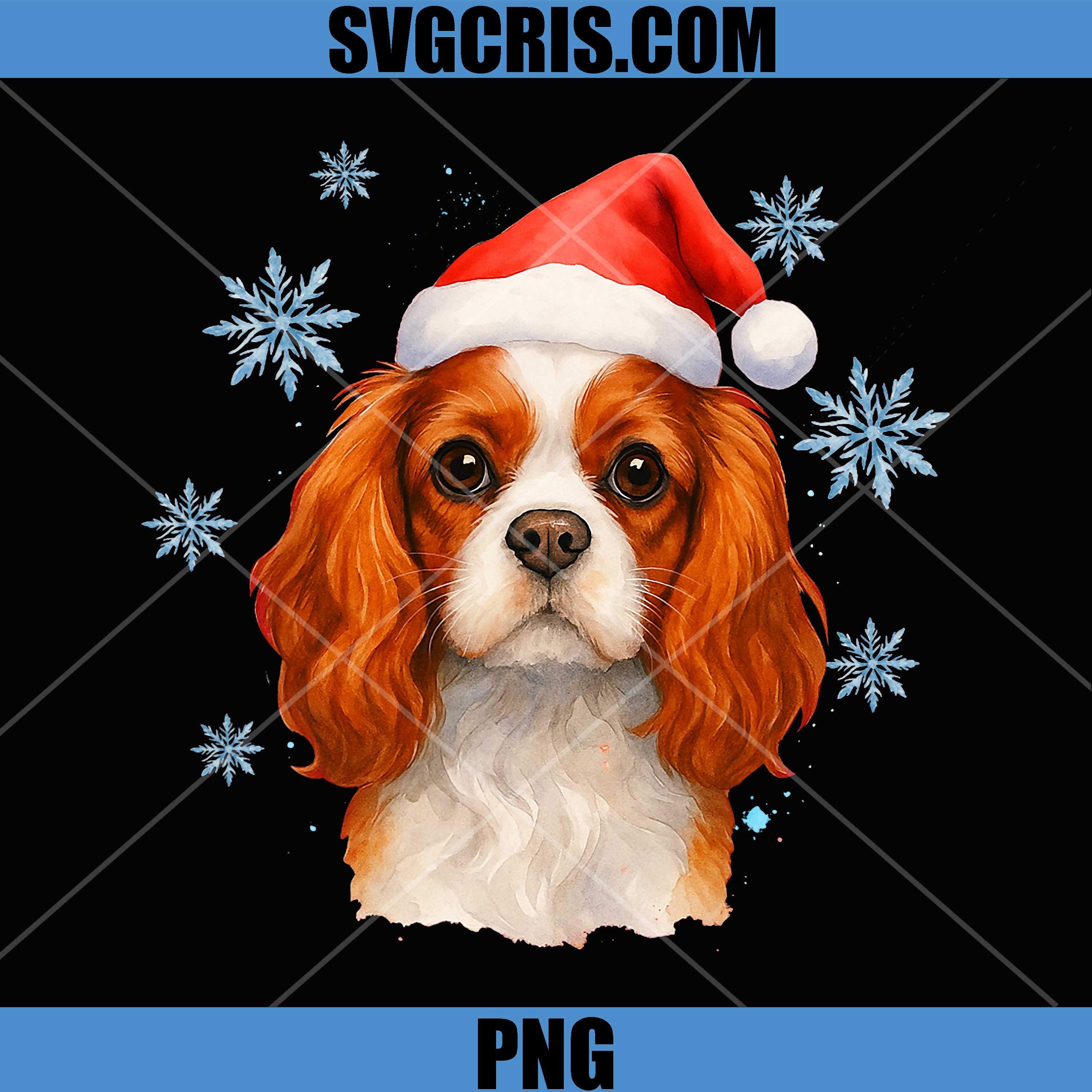 Santa Cavalier King PNG, Charles Spaniel Christmas Cavalier Dog PNG